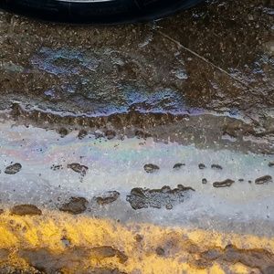 Meet your Posher, Tam